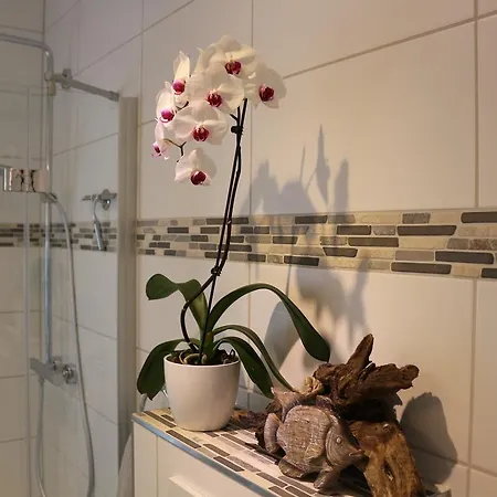 Haus Elbromantik *